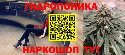 jwh Будённовск