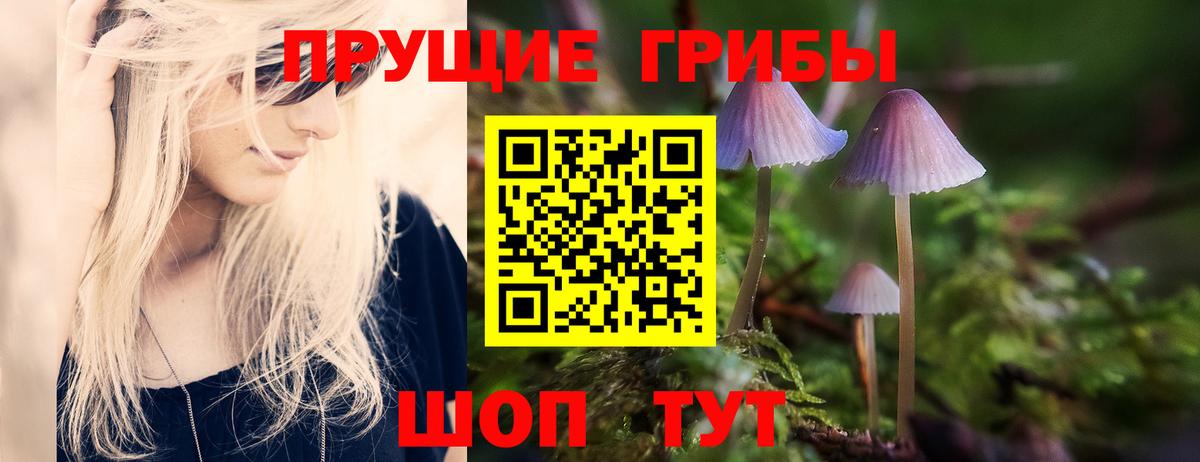 Галлюциногенные грибы MAGIC MUSHROOMS  Вход с VPN  Полевской 